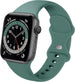 Bracelet Apple Watch silicone (cactus)