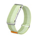 Bracelet nylon avec cadre Fitbit Air (vert menthe)
