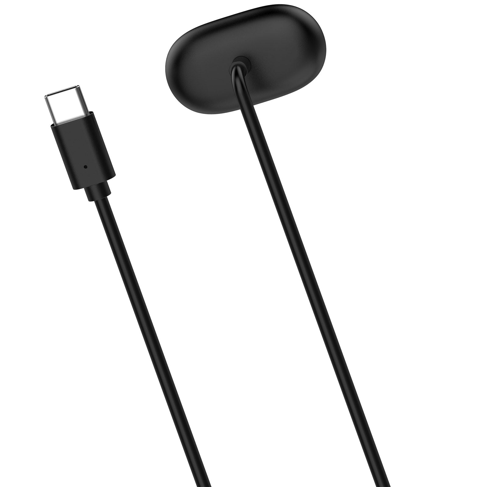 Chargeur USB-C Fitbit Air (noir)