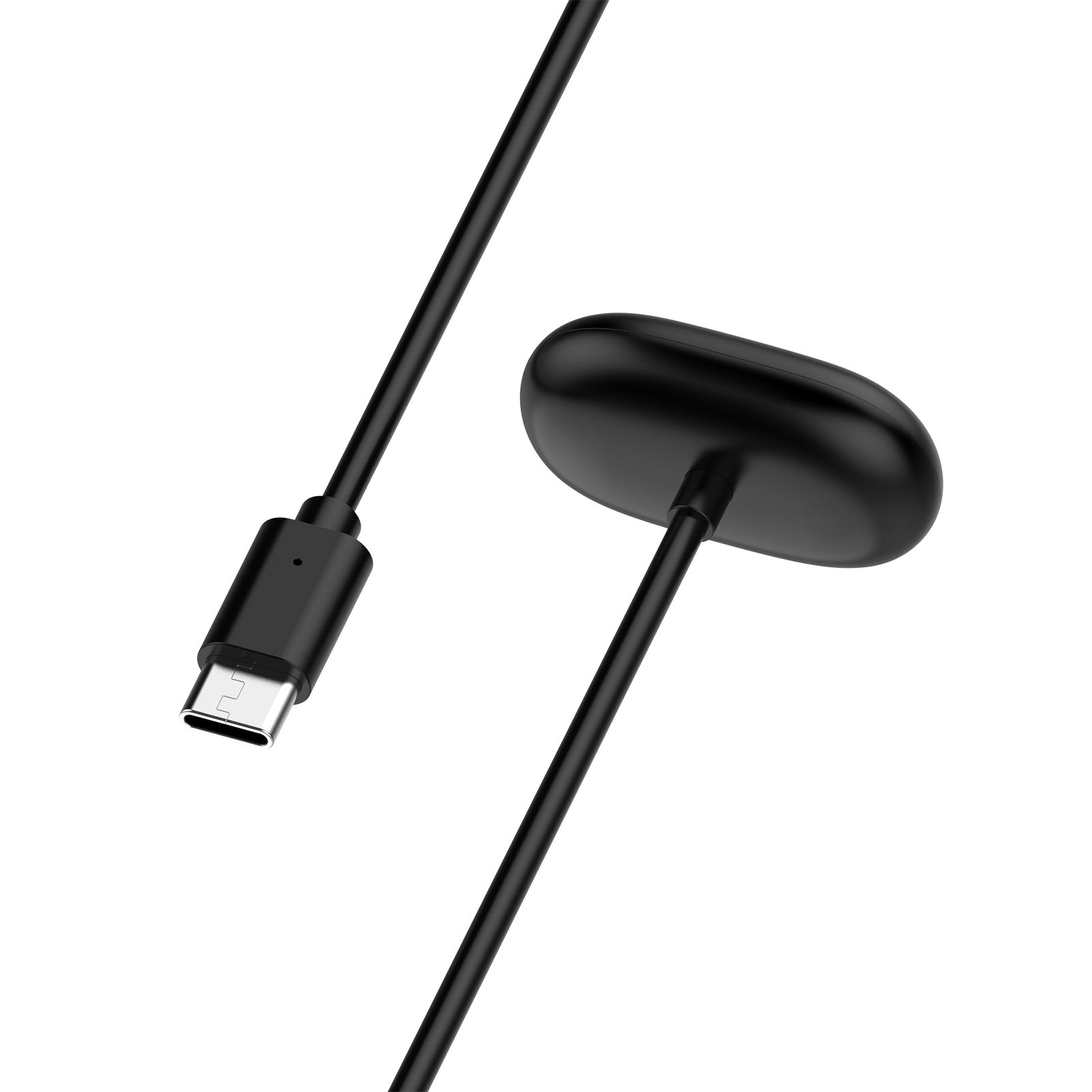 Chargeur USB-C Fitbit Air (noir)