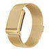 Bracelet milanais WHOOP 5.0 (or)