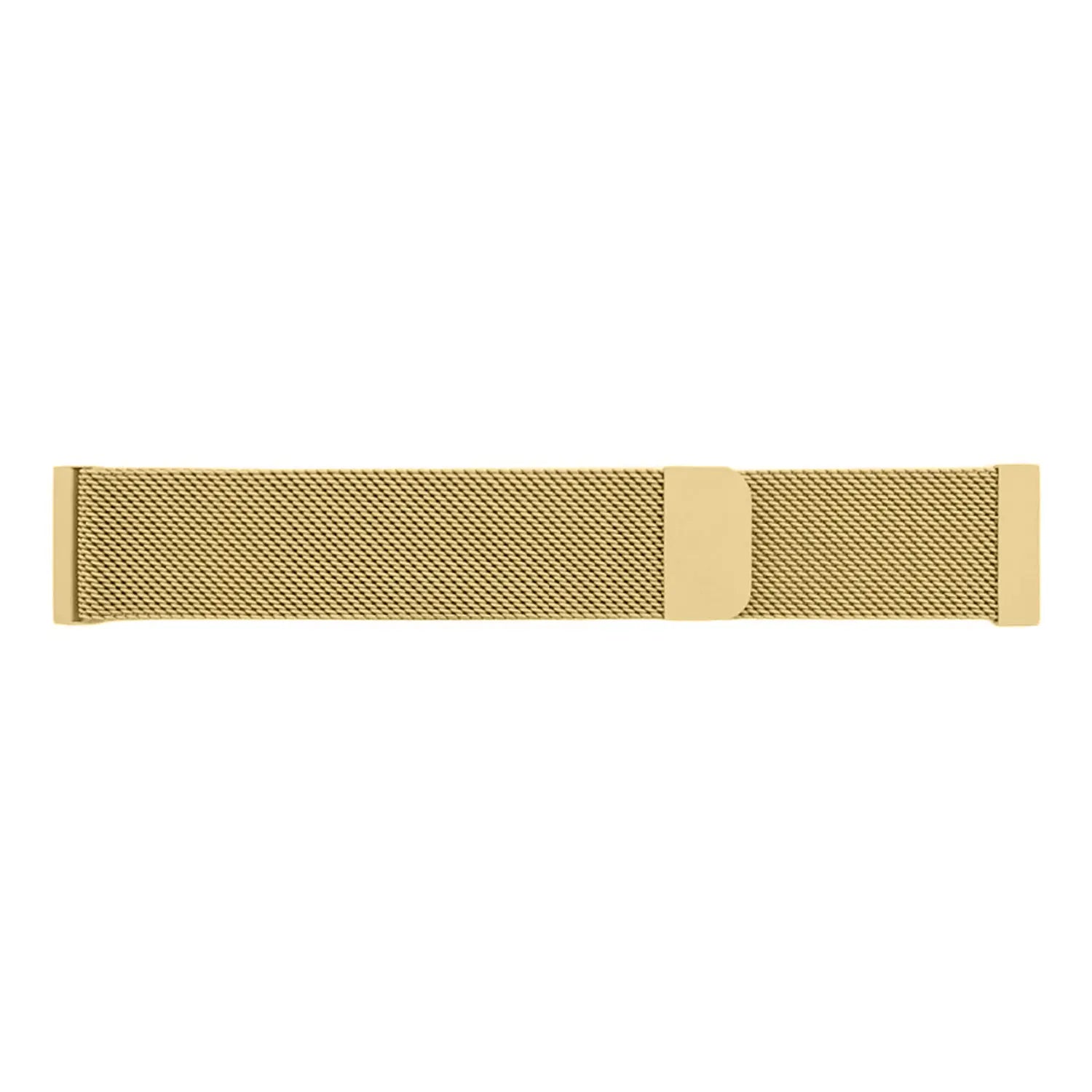 Garmin Forerunner 170 Milanese Strap (Gold)